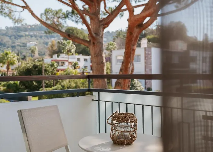 Renove 4 Pers 15 Min Croisette Et Plages Cannes